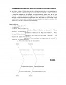 PRUEBA DE CONOCIMIENTO PRACTICAS DE EXCELENCIA OPERACIONAL