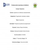 Reporte de practica de programación