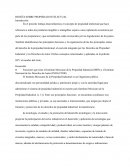 RESEÑA SOBRE PROPIEDAD INTELECTUAL