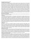 Victimología forense protocolos y practica