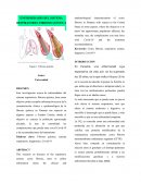 ENFERMEDADES DEL TRACTO RESPIRATORIO