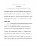 Legalización de la marihuana en Colombia