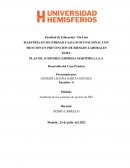 PLAN DE AUDITORIA EMPRESA MARTIMILLA S.A