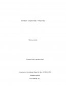 Competitividad y Productividad Macroeconomía