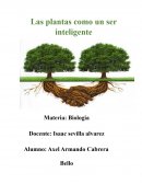 LAS PLANTAS COMO UN SER INTELIGENTE