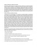 Análisis y Clasificación cualitativa de las Aguas
