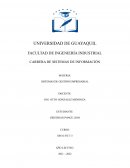 SISTEMAS DE GESTIÓN EMPRESARIAL
