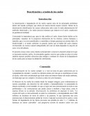 Desertización y erosión de los suelos