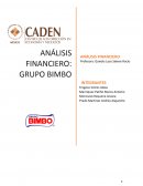 ANÁLISIS FINANCIERO: GRUPO BIMBO