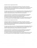 Caso practico organigrama CHG