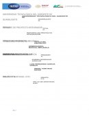 Reporte de sembradora