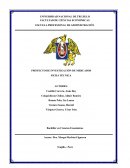 Plan de marketing. El nuevo producto Choco Panetón Felicidad