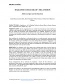 MÁRGENES DE SEGURIDAD Y MECANISMOS