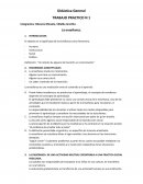 Didáctica General TP