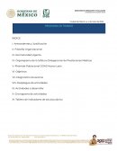 PROGRAMA DE TRABAJO. OOAD N.L