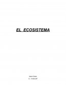 DESARROLLO SUSTENTABE