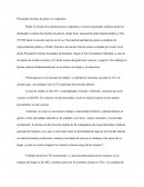 Principales Brechas de género en Argentina