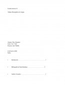 Análisis sobre el libro “La chica pájaro” de la autora Paula Bombara