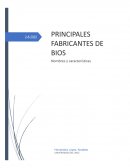 PRINCIPALES FABRICANTES DE BIOS
