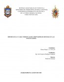 Importancia del diseñador de sistema en instituciones