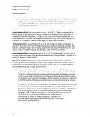 Ensayo Principio de legalidad