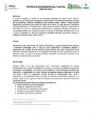 PROYECTO INTEGRADOR DEL PLANTEL