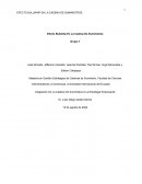 EFECTO BULLWHIP EN LA CADENA DE SUMINISTROS