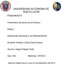 Fenómenos Químicos en el Entorno Reacciones Químicas y Su Representación