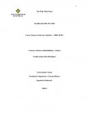 Contexto film The Wall