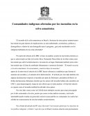 INCENDIOS EN EL AMAZONAS