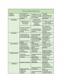 IGO EL ESCENARIO APUESTA EN ESENA