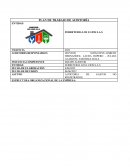 Auditoria FERRETERIA LOS LUJOS S.A.S