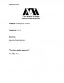 Origen de las especies