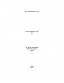 Taller transversal de ingles