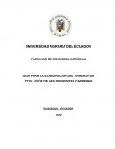 RECOMENDACIONES GENERALES PARA LA ELABORACIÓN DE TRABAJOS DE TITULACIÓN
