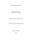 Ciberseguridad en el siglo XIX