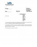 Pauta Evaluación de Proyectos