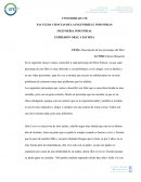 Descripción de los personajes del libro Silence