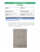 INTRODUCCIÓN A LA UNIVERSIDAD