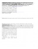Comparativa de métodos de medición de terreno para topografía