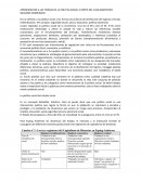 APROXIMACION A LAS TEORIAS DE LA POLITICA SOCIAL A PARTIR DEL CASO ARGENTINO SOLDANO-ANDRENACCI