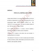 PERFIL DE LA EMPRESA AERO_SHOES