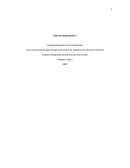 Análisis y Desarrollo de Sistemas de Información