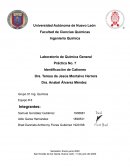 Laboratorio de Química General Práctica No. 7 Identificación de Cationes