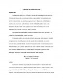 Análisis de los modelos didácticos