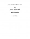 Materia: Cálculo Integral