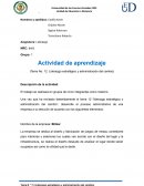 Liderazgo estratégico y administración del cambio, empresa: Blitzar