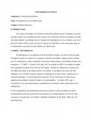 El sedentarismo en los adolescentes