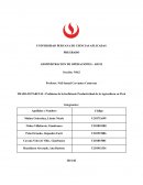 Problema de la Ineficiente Productividad de la Agricultura en Perú