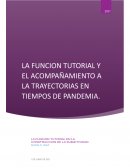 La función tutorial y el acompañamiento a las trayectorias en tiempos de Pandemia